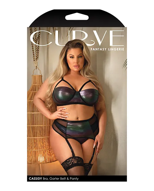 Fantasy Lingerie Vibrators Curve Cassidy Metallic Foil Bra Garter Belt Panty Black Fantasy Lingerie Vibrators Curve Cassidy Metallic Foil Bra Garter Belt Panty Black