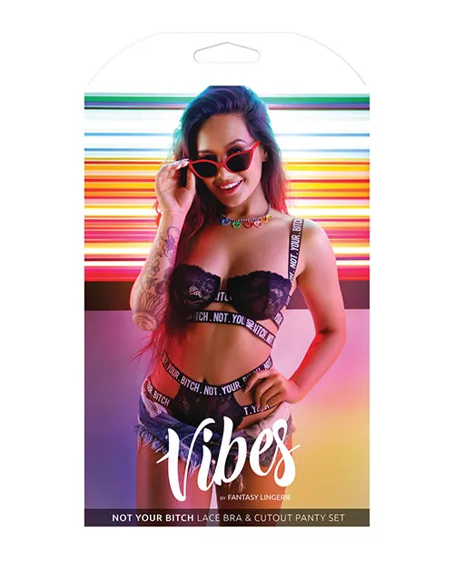 Female Sex Toys Fantasy Lingerie Vibes Not Your Bitch Lace Bra Cutout Panty