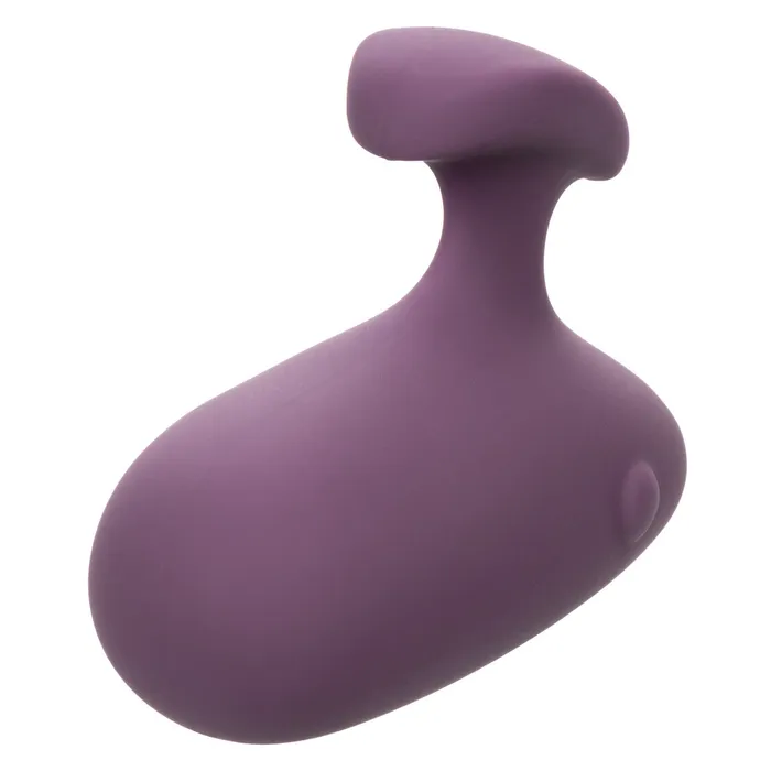 CAL EXOTICS Vibrators Mod Touch