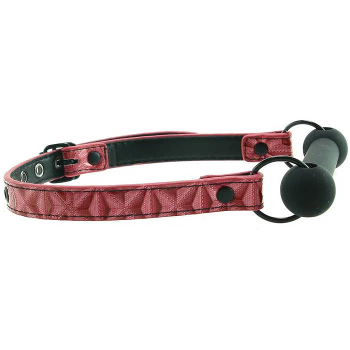 Sinful Bar Gag in Pink ns novelties Vibrators Sinful Bar Gag in Pink ns novelties Vibrators